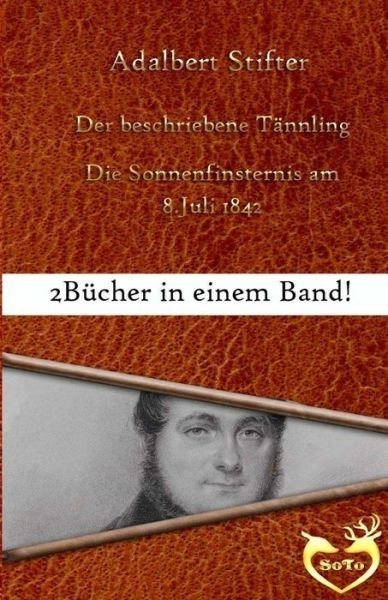 Cover for Adalbert Stifter · Der beschriebene Tannling (Paperback Bog) (2016)