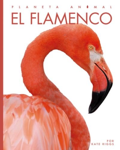 Cover for Kate Riggs · El Flamenco (Pocketbok) (2022)