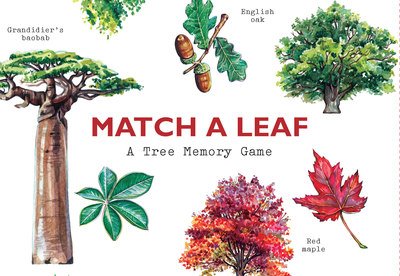 Cover for Tony Kirkham · Match a Leaf: A Tree Memory Game (Flashcards) (2018)
