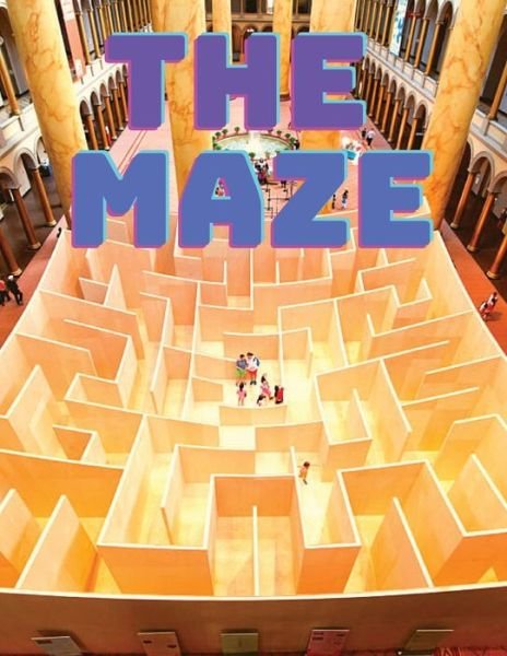 Cover for Exotic Publisher · Maze Puzzles Book (Taschenbuch) (2024)