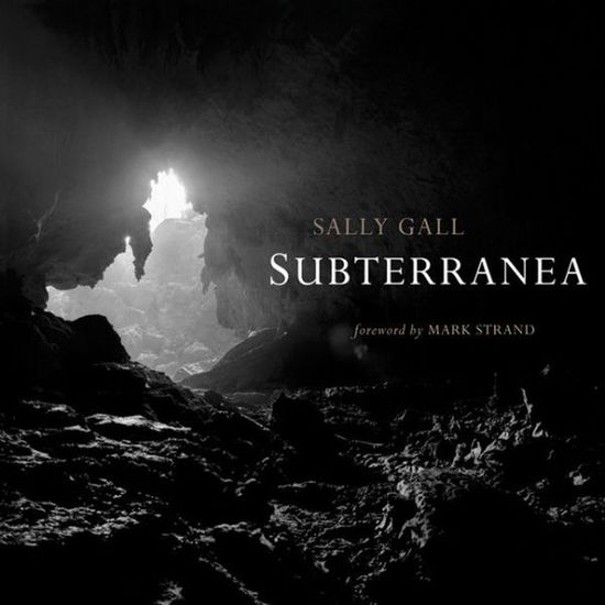 Cover for Sally Gall · Subterranea (Hardcover Book) (2003)