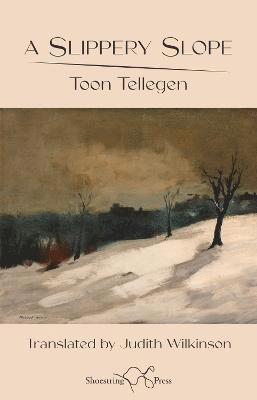 Cover for Toon Tellegen · Slippery Slope: A (Paperback Book) (2023)