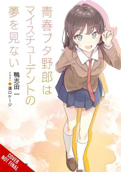 Cover for Hajime Kamoshida · Rascal Does Not Dream, Vol. 12 (light novel) (Paperback Book) (2023)