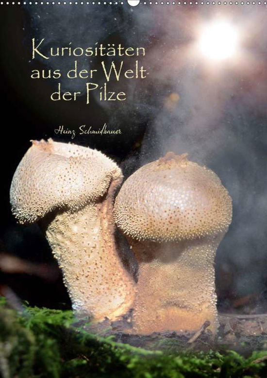 Kuriositäten aus der Welt d - Schmidbauer - Libros -  - 9783671794270 - 