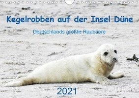 Cover for Wilhelm · Kegelrobben auf der Insel Düne (Bog)