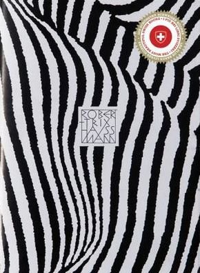 Cover for Fredi Fischl · Trix + Robert Haussmann (Bok) (2013)