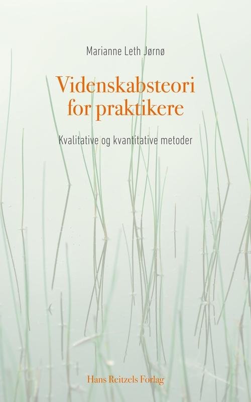 Cover for Marianne Leth Jørnø · Videnskabsteori for praktikere (Buch) [1. Ausgabe] (2014)