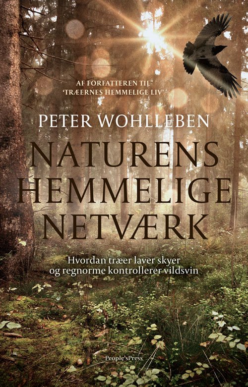 Cover for Peter Wohlleben · Naturens hemmelige netværk (Inbunden Bok) [1:a utgåva] (2019)