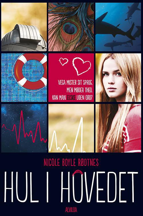 Cover for Nicole Boyle Rødtnes · Hul i hovedet (Paperback Book) [1e uitgave] [Indbundet] (2014)