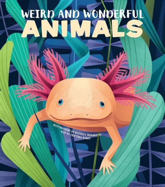 Cover for Cristina Banfi · Weird and Wonderful Animals - Weird and Wonderful (Hardcover Book) (2023)
