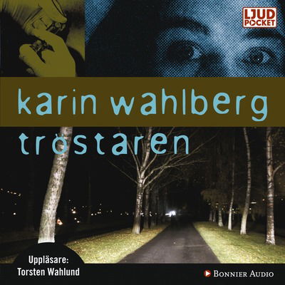 Tröstaren - Karin Wahlberg - Music - Bonnier Audio - 9789174130270 - October 15, 2008