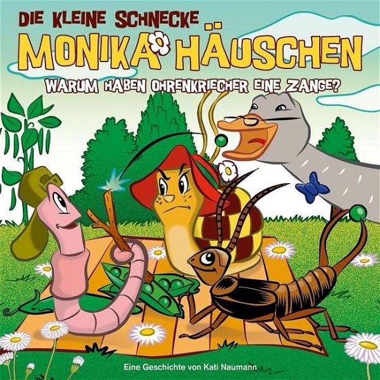 Cover for KLEINE SCHNECKE MONIKA HńU · 41: Warum Haben Ohrenkriecher Eine Zange? (CD) (2015)