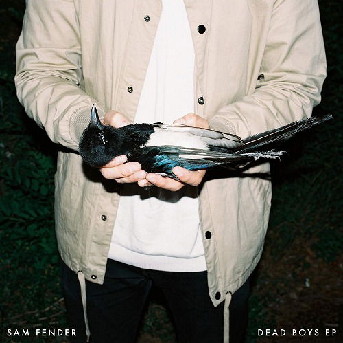 Cover for Sam Fender · Dead Boys (Kassette)