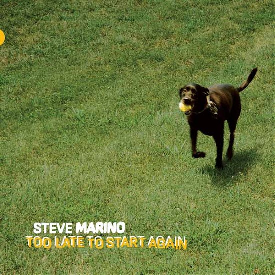Too Late To Start Again - Steve Marino - Music - POP WIG - 0843563168271 - March 8, 2024