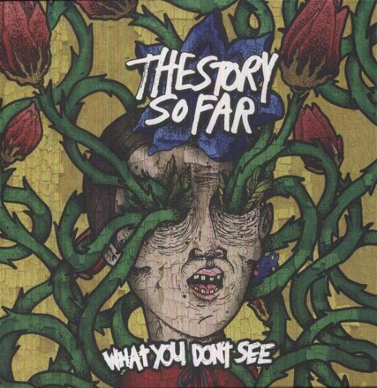 What You Don't See - The Story So Far - Musik - POP - 0885686931271 - 1. april 2015
