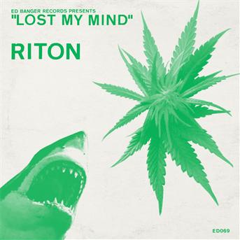 Lost My Mind - Riton - Music - BECAUSE - 5060281613271 - February 18, 2013