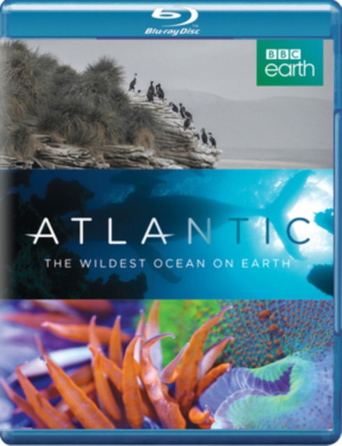 Atlantic - The Wildest Ocean On Earth - Atlantic Wildest Ocean on Earth BD - Movies - Dazzler - 5060352302271 - September 21, 2015