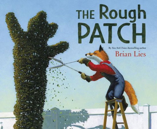 Cover for Brian Lies · The Rough Patch: A Caldecott Honor Award Winner (Hardcover Book) (2018)