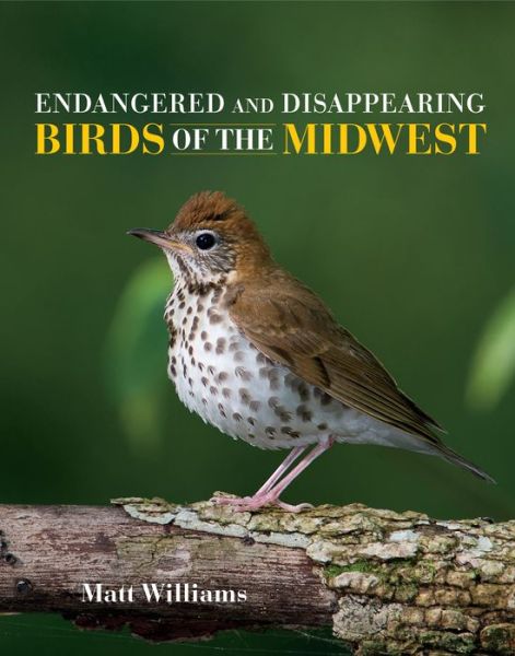 Cover for Matt Williams · Endangered and Disappearing Birds of the Midwest (Hardcover Book) (2018)