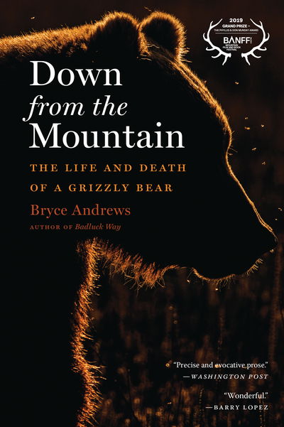 Cover for Bryce Andrews · Down from the Mountain: The Life and Death of a Grizzly Bear (Paperback Book) (2020)
