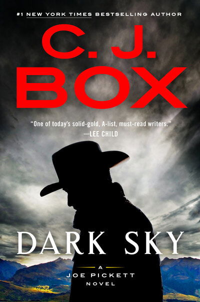 Cover for C. J. Box · Dark Sky - A Joe Pickett Novel (Hardcover Book) (2021)