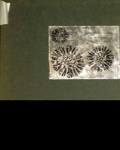 Cover for Frost · Cenozoic Reef Biofaces (Gebundenes Buch) (1974)
