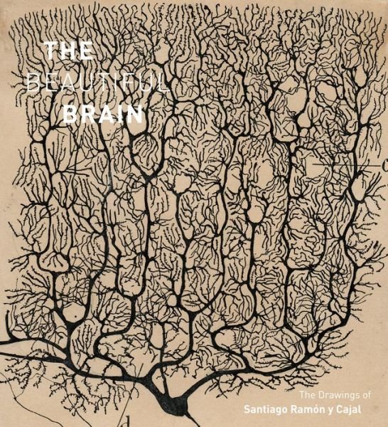 Cover for Larry Swanson · The Beautiful Brain: The Drawings of Santiago Ramon y Cajal (Inbunden Bok) (2017)