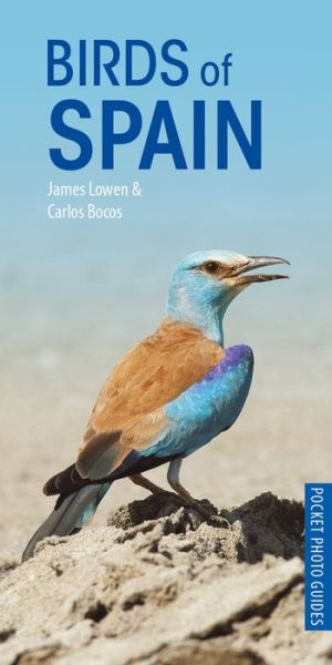 Birds of Spain - Pocket Photo Guides - James Lowen - Książki - Bloomsbury Publishing PLC - 9781472949271 - 7 lutego 2019