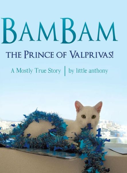 Cover for Little Anthony · BamBam, the Prince of Valprivas! (Hardcover Book) (2016)