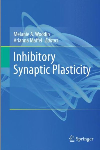 Cover for Melanie a Woodin · Inhibitory Synaptic Plasticity (Paperback Book) [2011 edition] (2014)