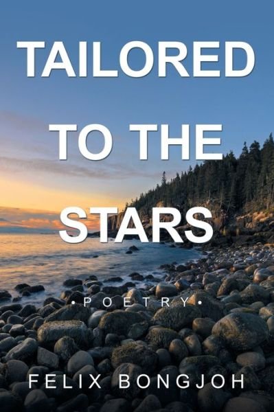Cover for Felix Bongjoh · Tailored to the Stars (Paperback Book) (2019)
