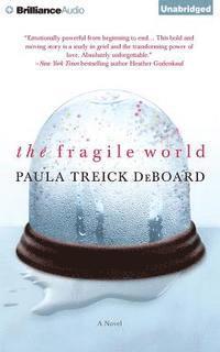 The Fragile World - Paula Treick Deboard - Music - Brilliance Audio - 9781501201271 - October 6, 2015