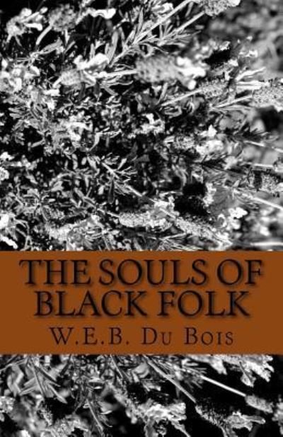 Cover for W E B Du Bois · The Souls of Black Folk (Paperback Bog) (2016)