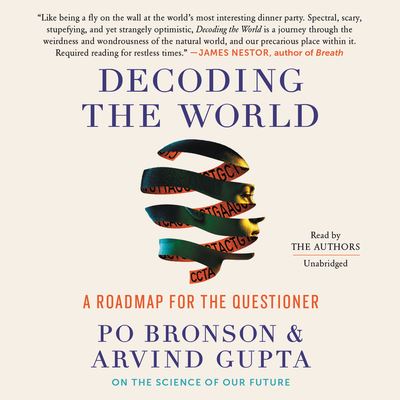 Decoding the World: A Roadmap for the Questioner - Po Bronson - Audio Book - Hachette Audio - 9781549186271 - November 24, 2020