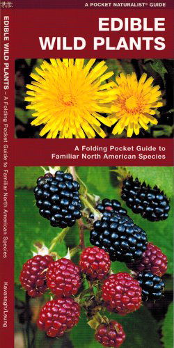 Cover for James Kavanagh · Edible Wild Plants: A Folding Pocket Guide to Familiar North American Species - Pocket Naturalist Guide Series (Pamphlet) [1st edition] (2018)