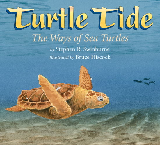 Cover for Stephen R. Swinburne · Turtle Tide: The Ways of Sea Turtles (Paperback Book) (2010)