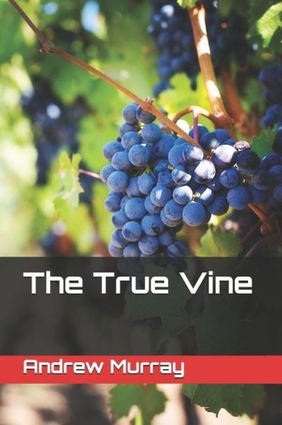 Cover for Andrew Murray · The True Vine (Paperback Book) (2020)