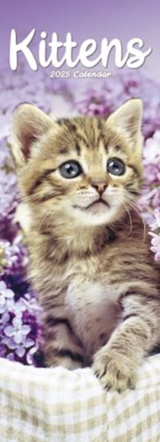 Kittens Slim Calendar 2025 Cute Slimline Calendar - 12 Month - - Gadżety - Avonside Publishing Ltd - 9781804605271 - 1 lipca 2024