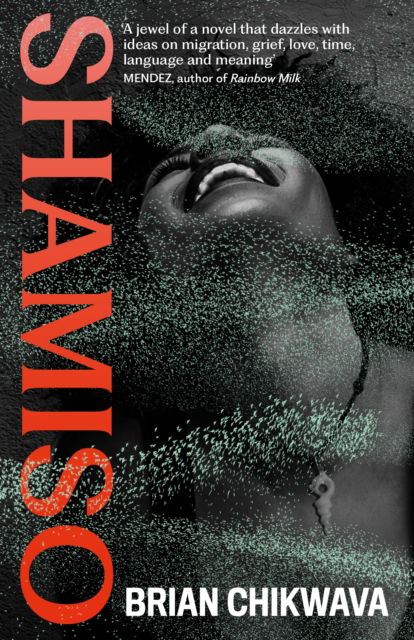 Cover for Brian Chikwava · Shamiso (Hardcover Book) [Main edition] (2025)