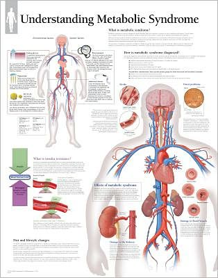 Cover for Scientific Publishing · Understanding Metabolic Syndrome Paper Poster (Poster) (2005)