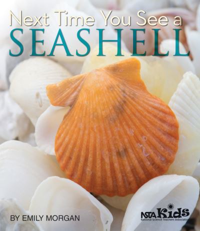 Next Time You See a Seashell - Emily Morgan - Kirjat - NSTA Kids - 9781938946271 - maanantai 16. marraskuuta 2020