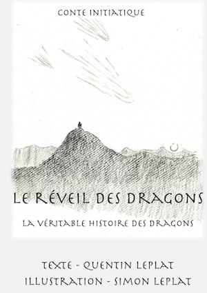 Cover for Quentin Leplat · Le réveil des dragons (Book) (2022)