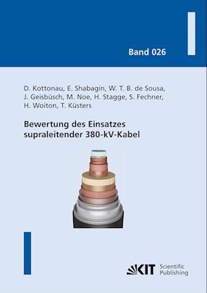 Cover for Dustin Kottonau · Bewertung des Einsatzes supraleitender 380-kV-Kabel (Paperback Book) (2019)