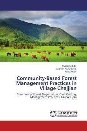 Cover for Bibi · Community-Based Forest Management (Bok)