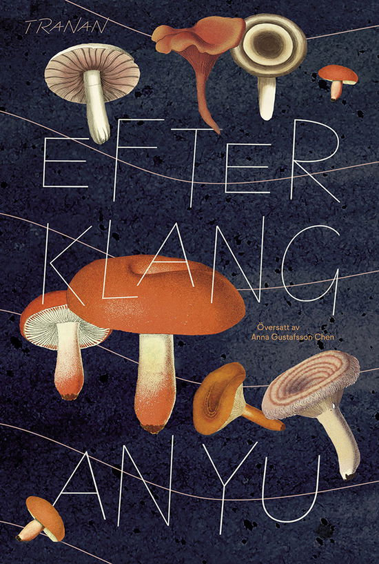 Cover for An Yu · Efterklang (Inbunden Bok) (2024)