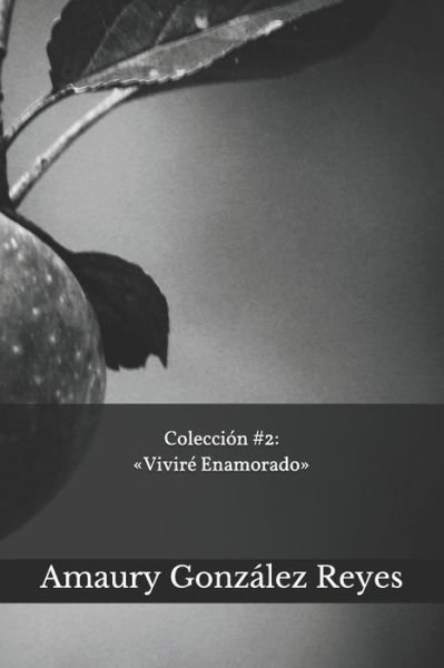 Cover for Amaury González Reyes · Coleccion 2 Vivire Enamorado (Taschenbuch) (2020)