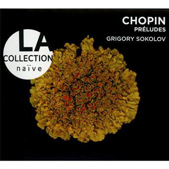 Preludes - F. Chopin - Musique - NAIVE - 0822186400272 - 27 août 2013