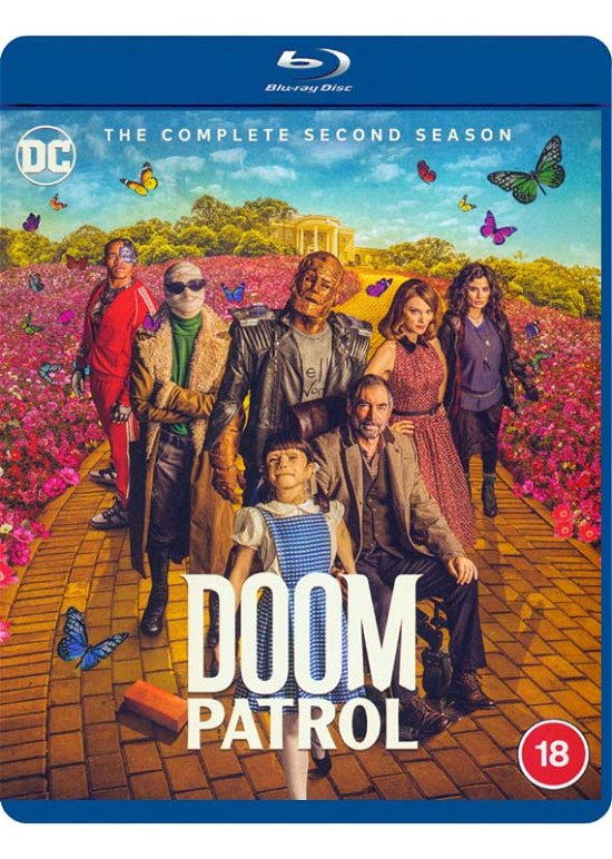 Cover for Doom Patrol S2 Bds · Doom Patrol Season 2 (Blu-ray) (2021)