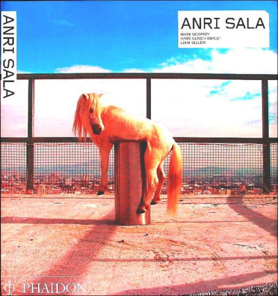 Cover for Hans Ulrich Obrist · Anri Sala - Phaidon Contemporary Artists Series (Paperback Book) (2006)