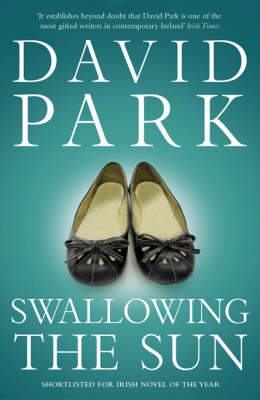 Swallowing the Sun - David Park - Books - Bloomsbury Publishing PLC - 9780747599272 - February 2, 2009
